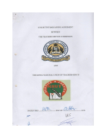 knut cba.pdf